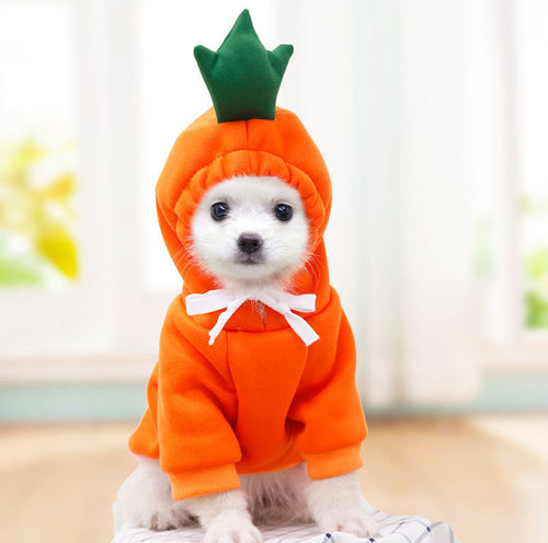 Cute Fruit Dog Clothes For Small Dogs Hoodies Winter Warm Fleece Pet