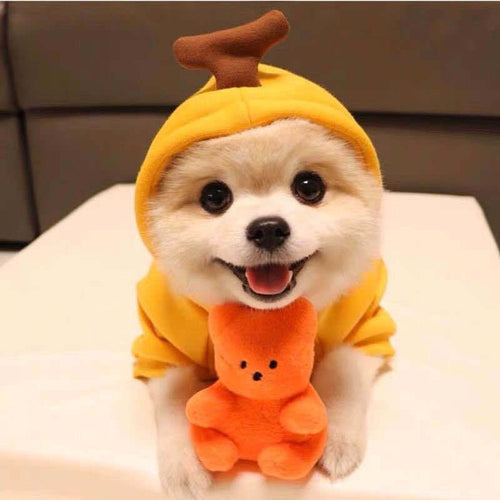 Cute Fruit Dog Clothes For Small Dogs Hoodies Winter Warm Fleece Pet