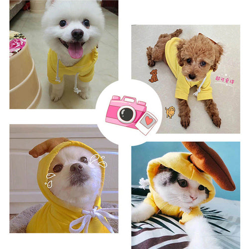 Cute Fruit Dog Clothes For Small Dogs Hoodies Winter Warm Fleece Pet